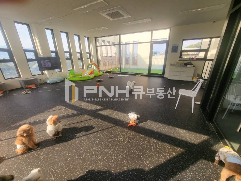 경기 의왕시 오전동 애견호텔,애견유치원,넓은테라스,연층사용 월세 매물번호 11158 사진 8